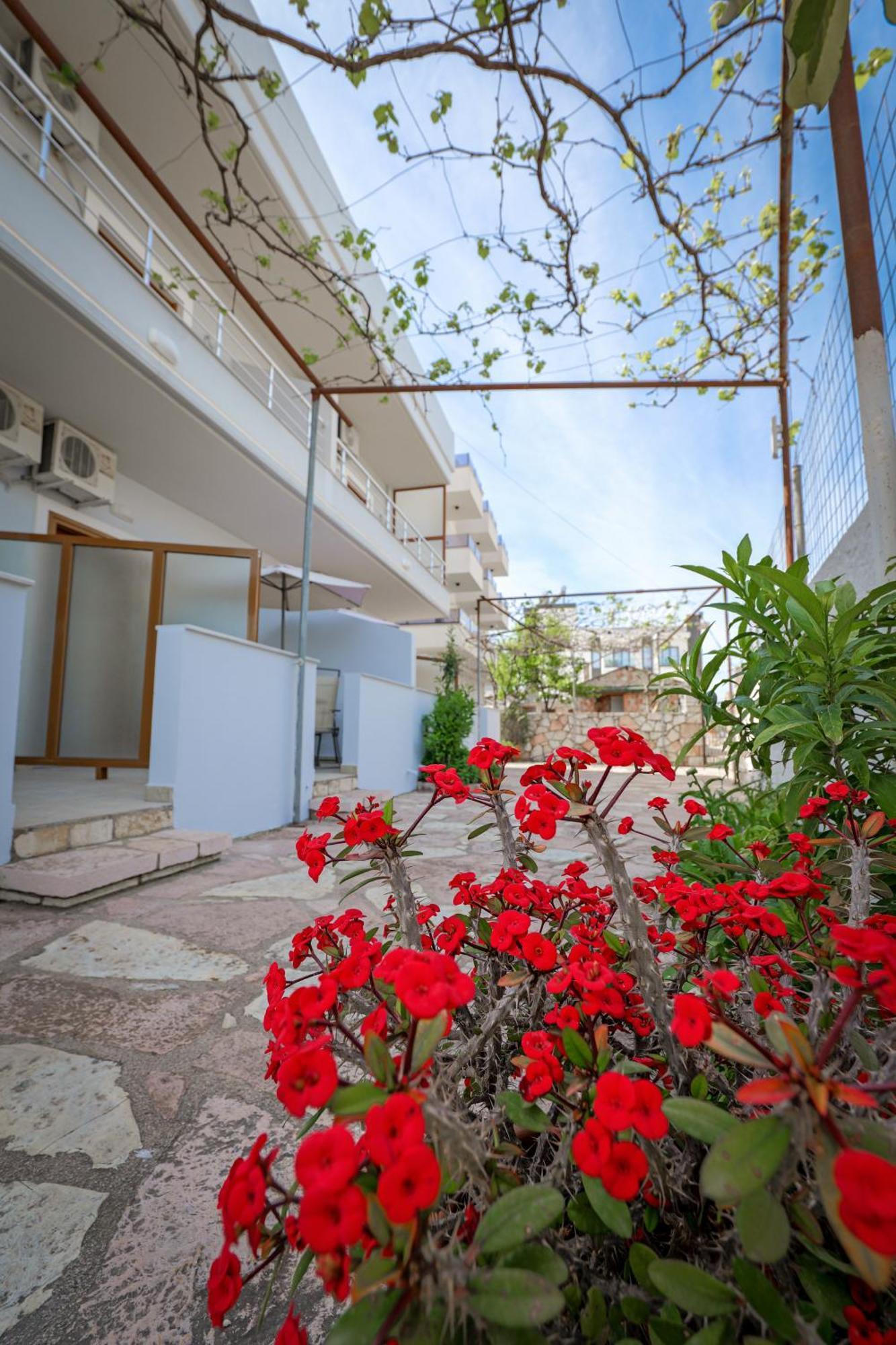 Guest House Moonlight Ksamil Luaran gambar